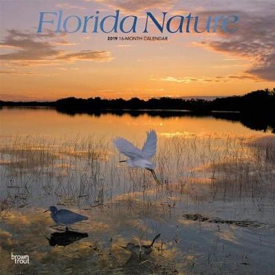 Florida Nature 2019 Square Foil by Inc Browntrout Publishers