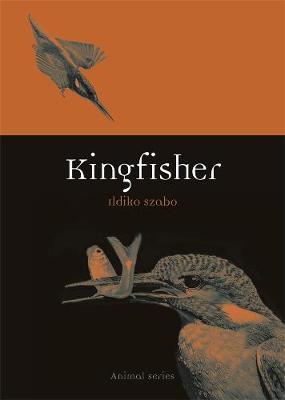 Kingfisher by Ildiko Szabo image