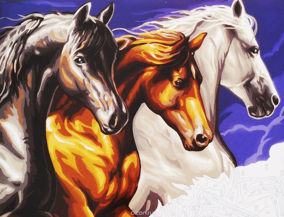 Paint by Numbers - Wild Horses image