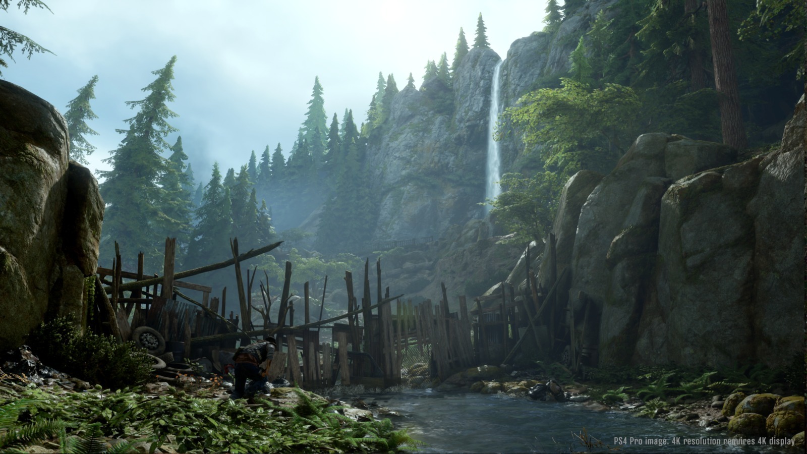 Days Gone Collector's Edition for PS4 image