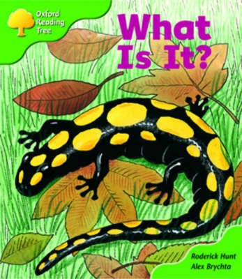 Oxford Reading Tree: Stage 2: More Patterned Stories A: What is It? by Roderick Hunt image