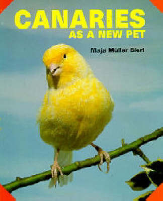 Canaries as a New Pet by Maja Muller-Bierl image
