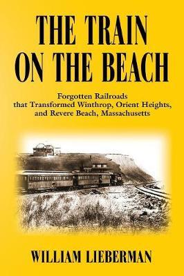 The Train on the Beach by William Lieberman image