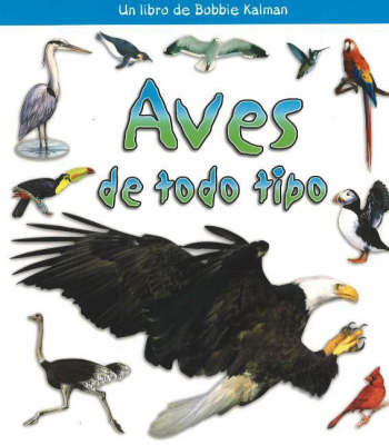 Aves de Todo Tipo (Birds of All Kinds) by Bobbie Kalman image