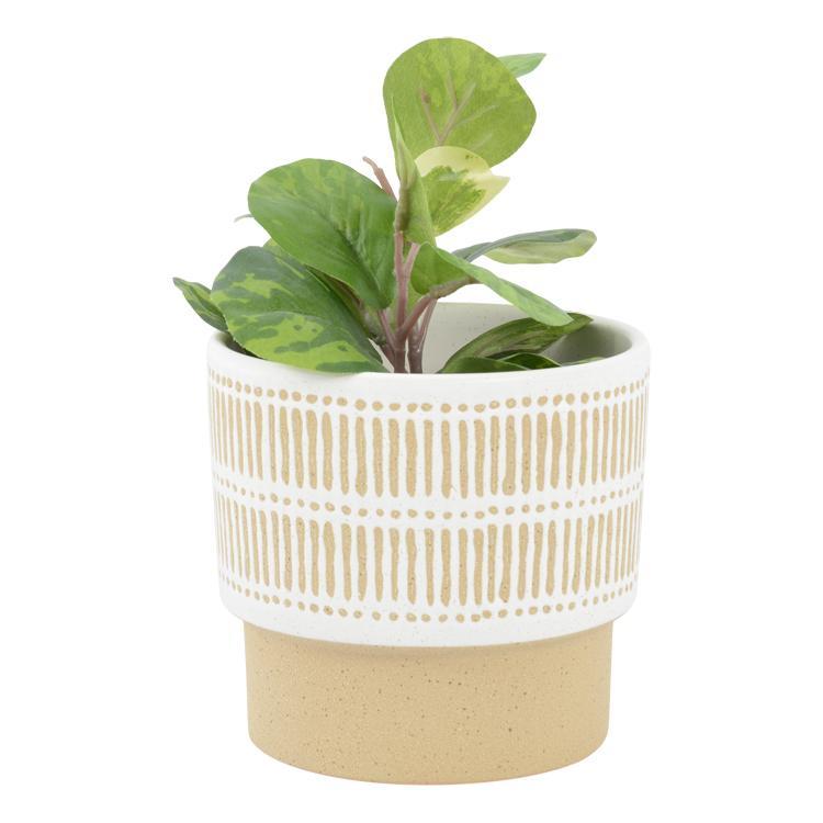 Taza Pot - Medium image