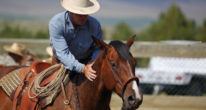 Buck on DVD image