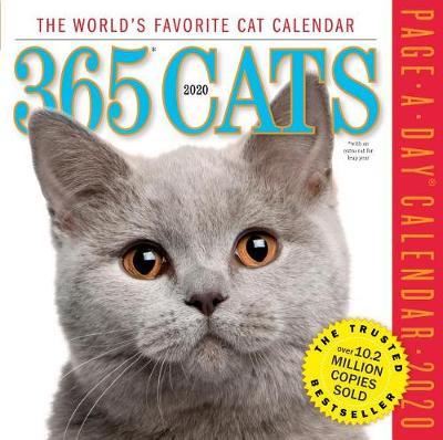 2020 365 Cats Colour Page-A-Day Calendar image