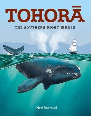 Tohora PB by Ned Barraud image