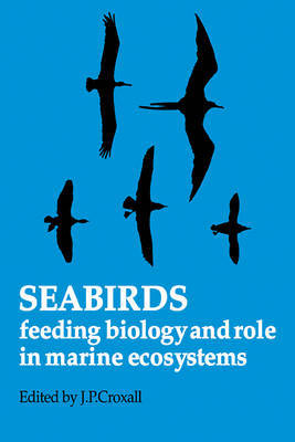 Seabirds image