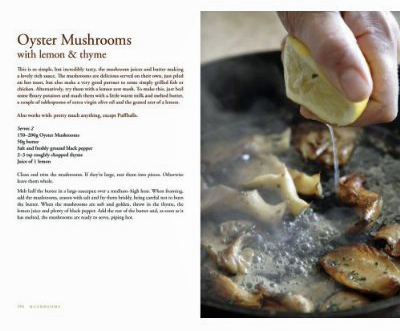 Mushrooms: River Cottage Handbook No.1 on Hardback by John Wright