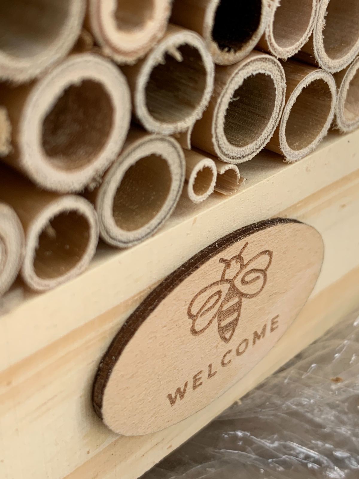 Welcome Buzz Bee Hotel image