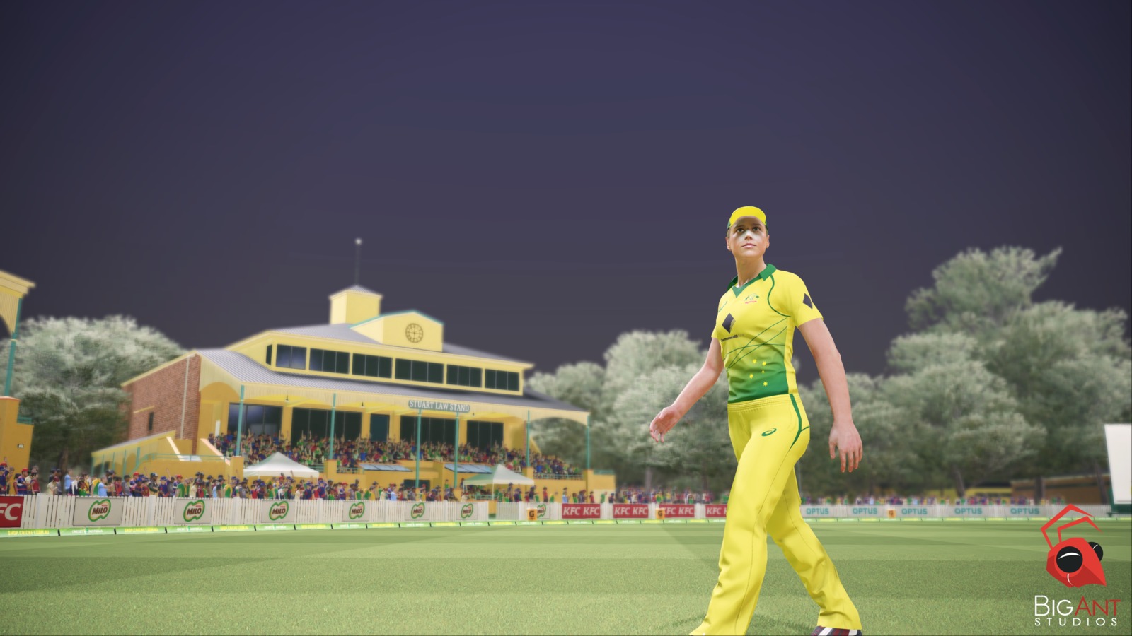 Ashes Cricket on PS4