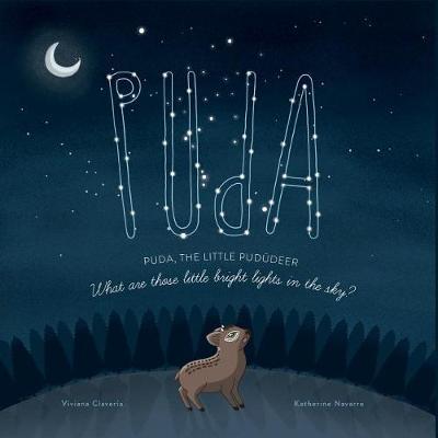 Puda, the little Pud deer by Viviana Claveria image