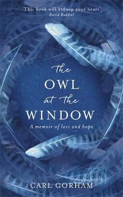 The Owl at the Window image