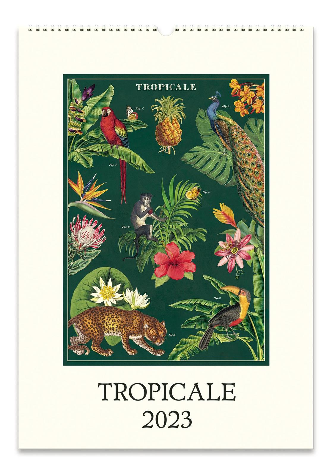 Buy Cavallini & Co Vintage Tropicale Wall Calendar (2023) at Mighty