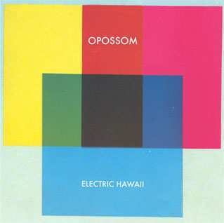 Electric Hawaii by Opossom image