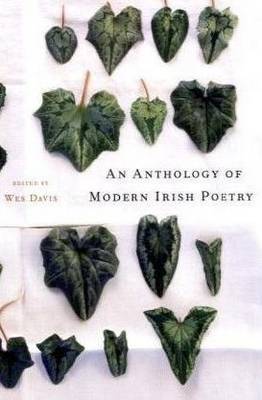 An Anthology of Modern Irish Poetry image