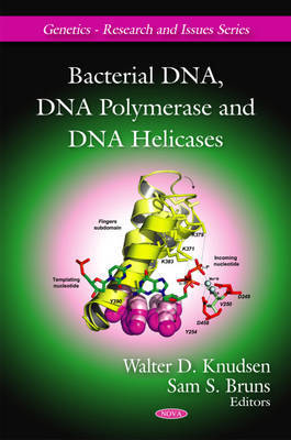 Bacterial DNA, DNA Polymerase & DNA Helicases on Hardback