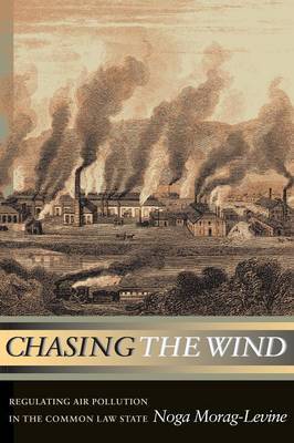 Chasing the Wind by Noga Morag-Levine image