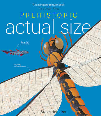 Prehistoric Actual Size by Steve Jenkins image