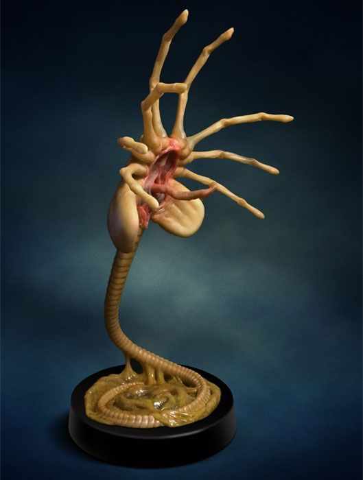 Alien Facehugger - 1:1 Life-Sized Replica image