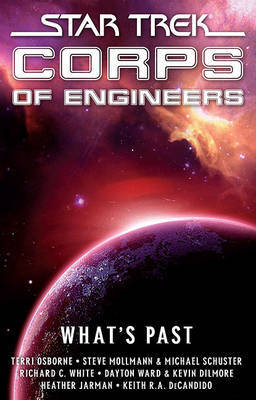 Star Trek SCE: What's Past by Terri Osborne image