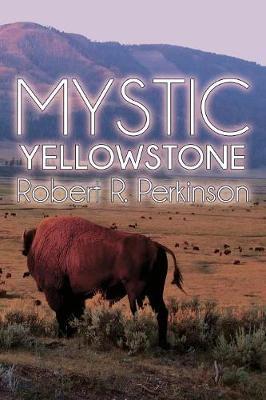 Mystic by Robert R. Perkinson image
