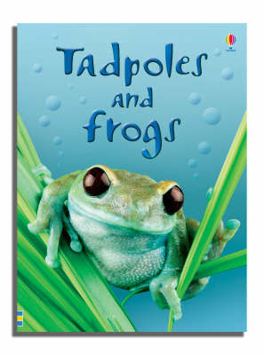 Tadpoles and Frogs by Anna Milbourne image