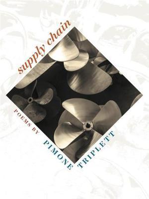 Supply Chain by Pimone Triplett image