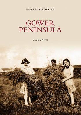 Gower Peninsula by David Gwynn image