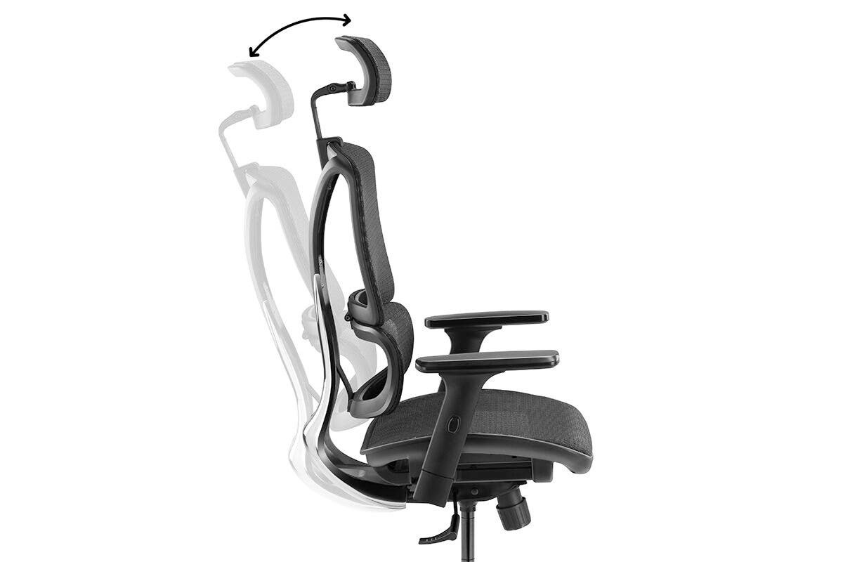 Buy EX10 Ergonomic Mesh Office Chair at Mighty Ape NZ