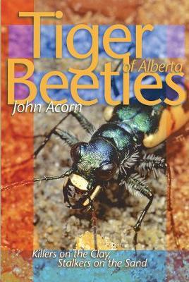Tiger Beetles of Alberta by John Acorn image