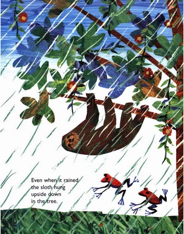 Slowly, Slowly, Slowly, Said the Sloth | Eric Carle Book | Buy Now | at ...