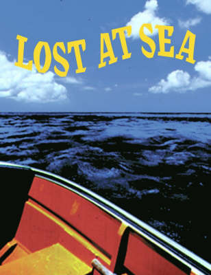 Lost at Sea by Jossey-Bass Pfeiffer image