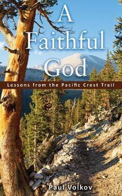 A Faithful God by Paul Volkov image
