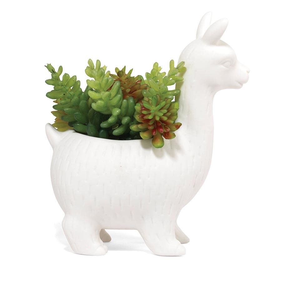 Kikkerland: Lloyd the Llama Planter image