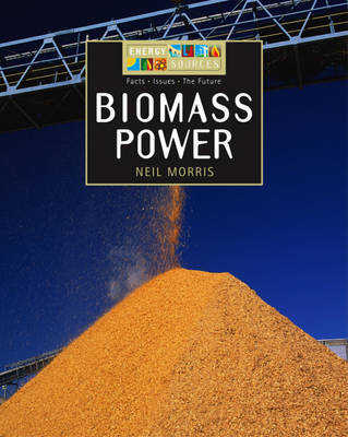 Energy Sources: Biomass Power image