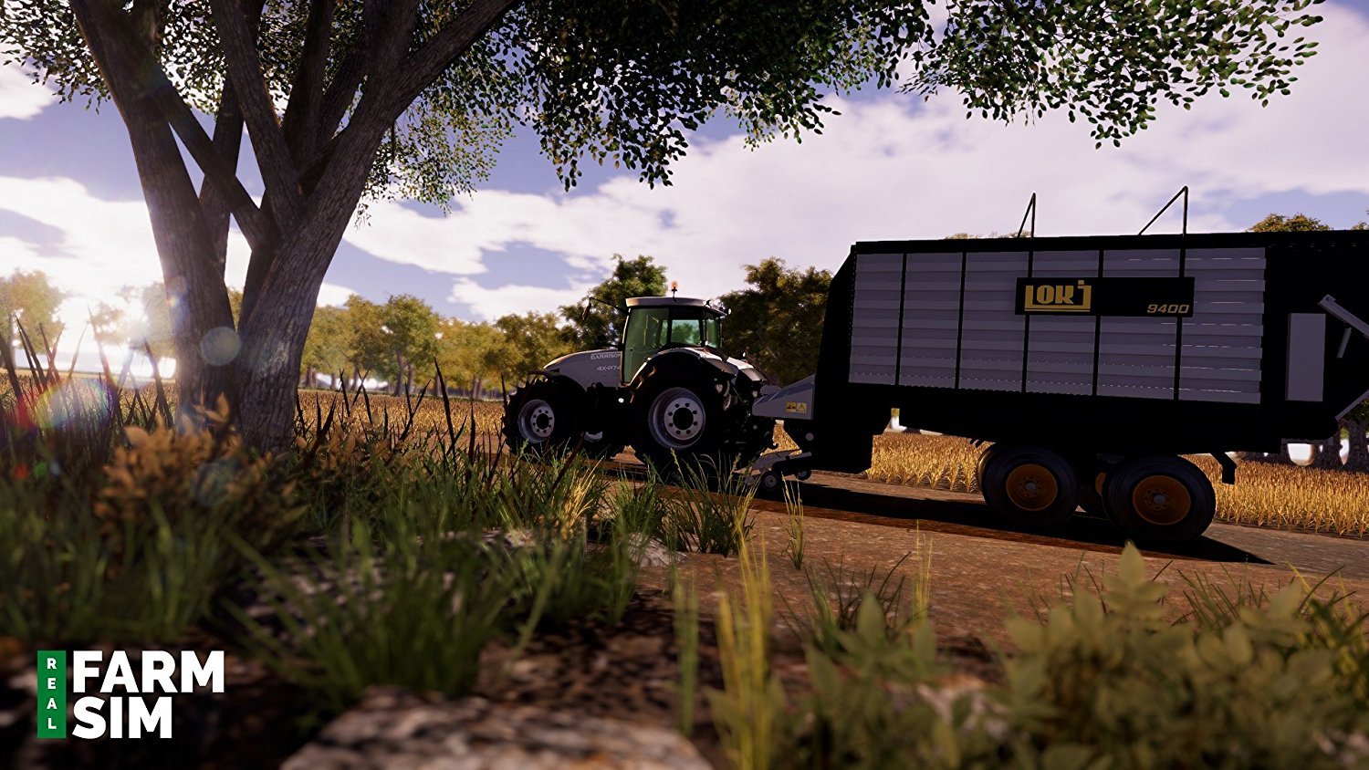 Real Farm Sim for PS4 image