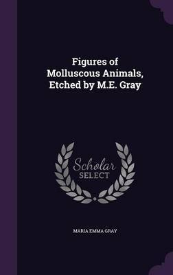 Figures of Molluscous Animals, Etched by M.E. Gray by Maria Emma Gray image