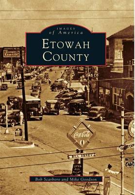 Etowah County by Bob Scarboro image