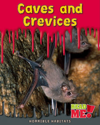 Caves and Crevices by Sharon Katz Cooper image