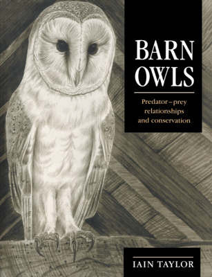 Barn Owls by Iain Taylor