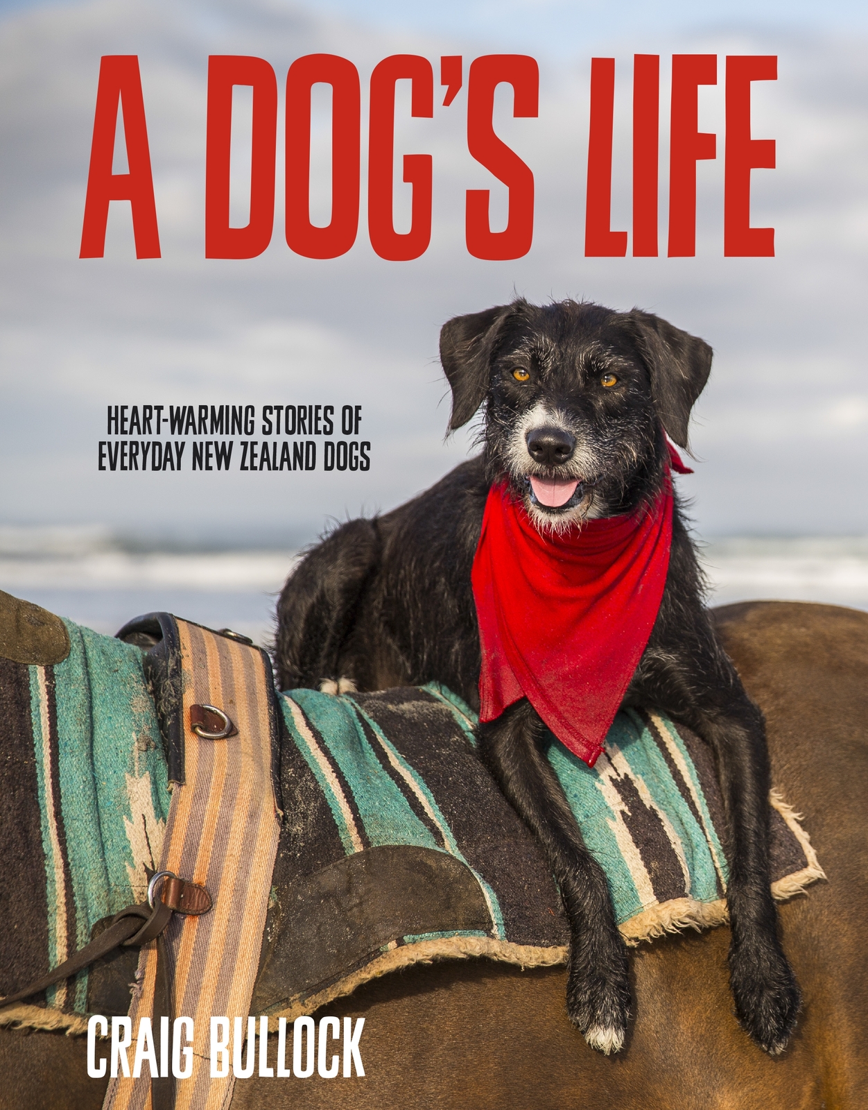 A Dog’s Life on Paperback by Craig Bullock