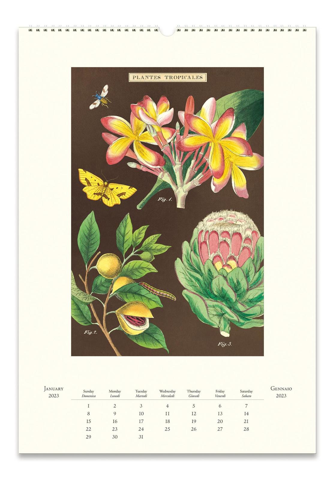 Buy Cavallini & Co Vintage Tropicale Wall Calendar (2023) at Mighty