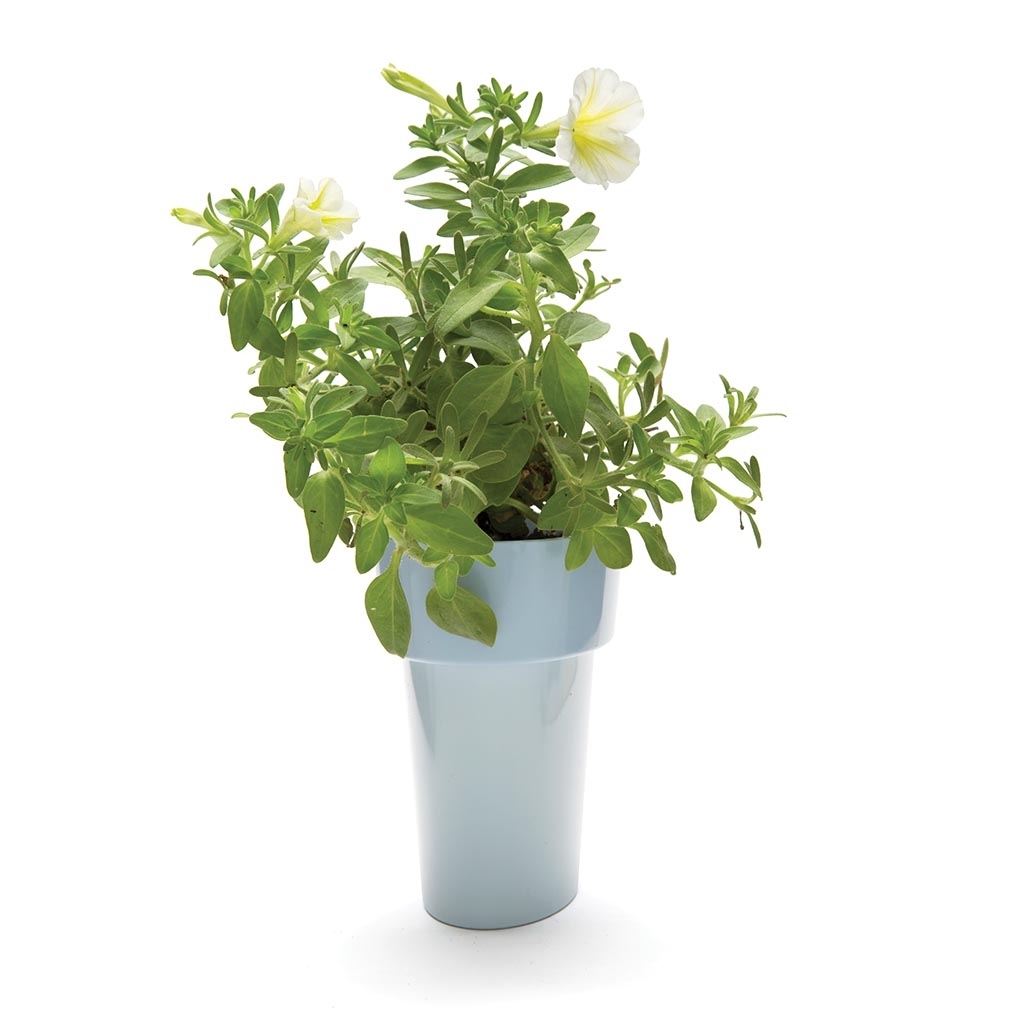 Monkey Business: Slim Flower Pot (Blue) image