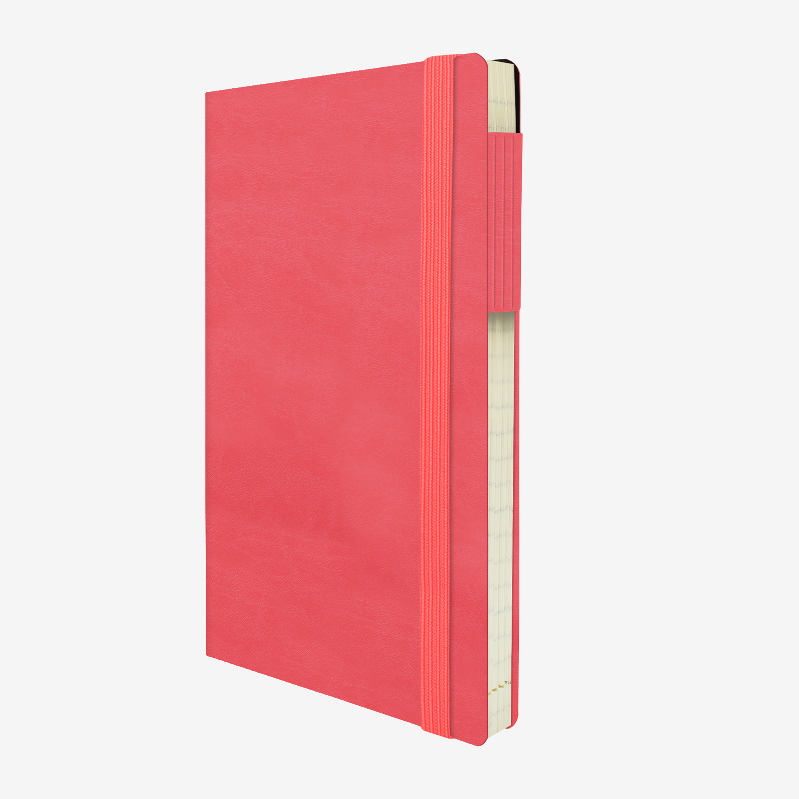 Legami: Large Weekly & Daily 12 Month 2020 Diary - Neon Coral image