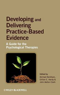 Developing and Delivering Practice-Based Evidence image