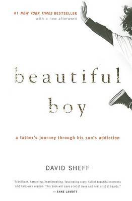 Beautiful Boy by David Sheff image