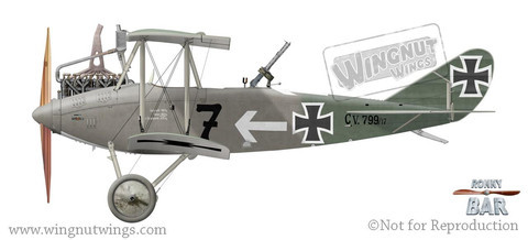 Wingnut Wings 1/32 DFW C.V Late Model Kit