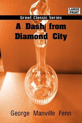 A Dash from Diamond City by George Manville Fenn image